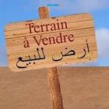 terrain a vendre téboulba