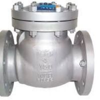 CHECK VALVES IN KOLKATA