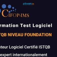 Formation ISTQB niveau Foundation/ GSM:25315269