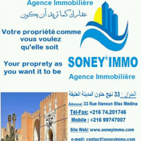 Agence Immobilière Soney Immo